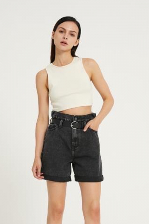 Premium high waisted jean shorts Ashley